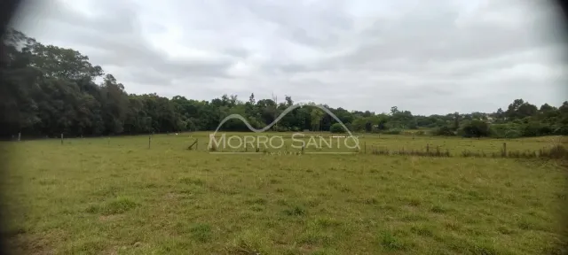 Vista de um campo gramado com vegetação densa ao fundo.