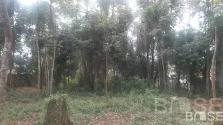 Terreno, foto 2