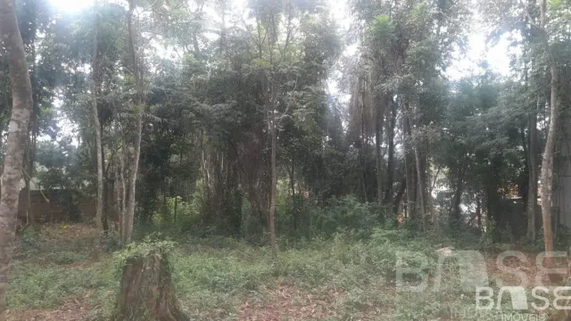 Terreno, foto 2