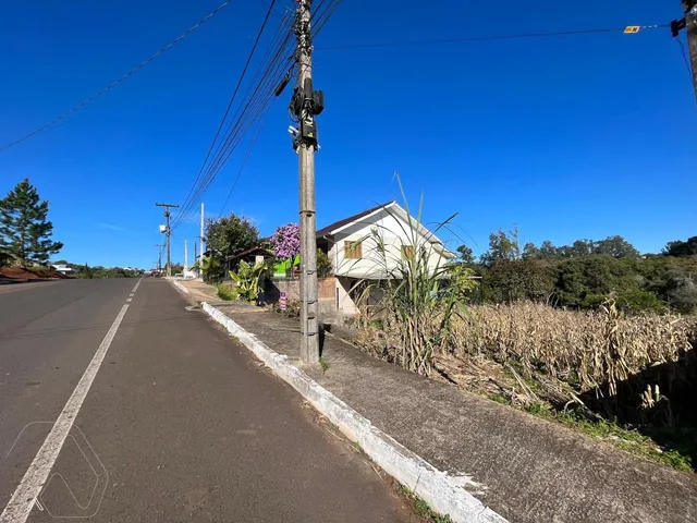 Terreno, foto 4