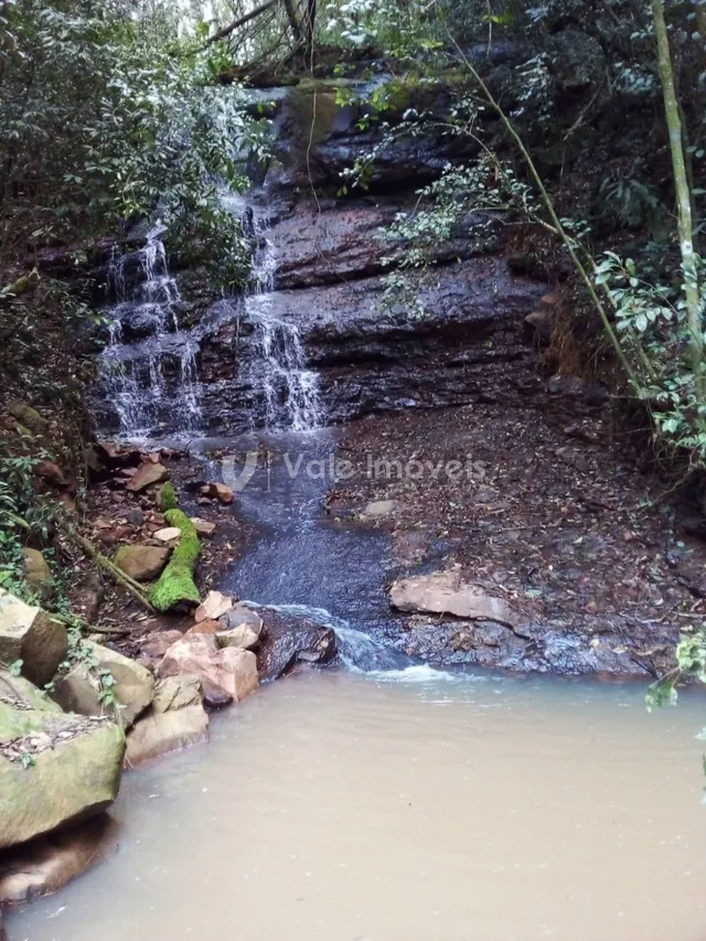 Área rural com 3 dormitórios, foto 5