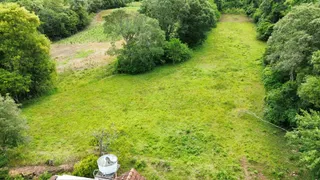 Campo gramado cercado por vegetação densa.