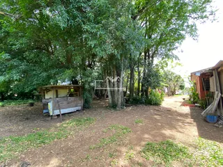 Terreno, foto 4