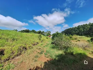 Paisagem de campo com vegetação densa e uma trilha de terra.