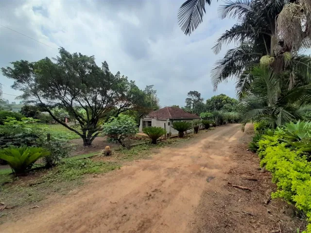 Área rural com 4 dormitórios, foto 3