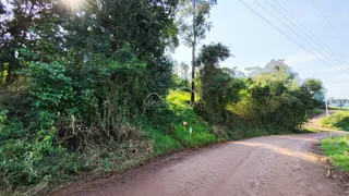 Vista de uma estrada de terra cercada por vegetação densa na área rural.