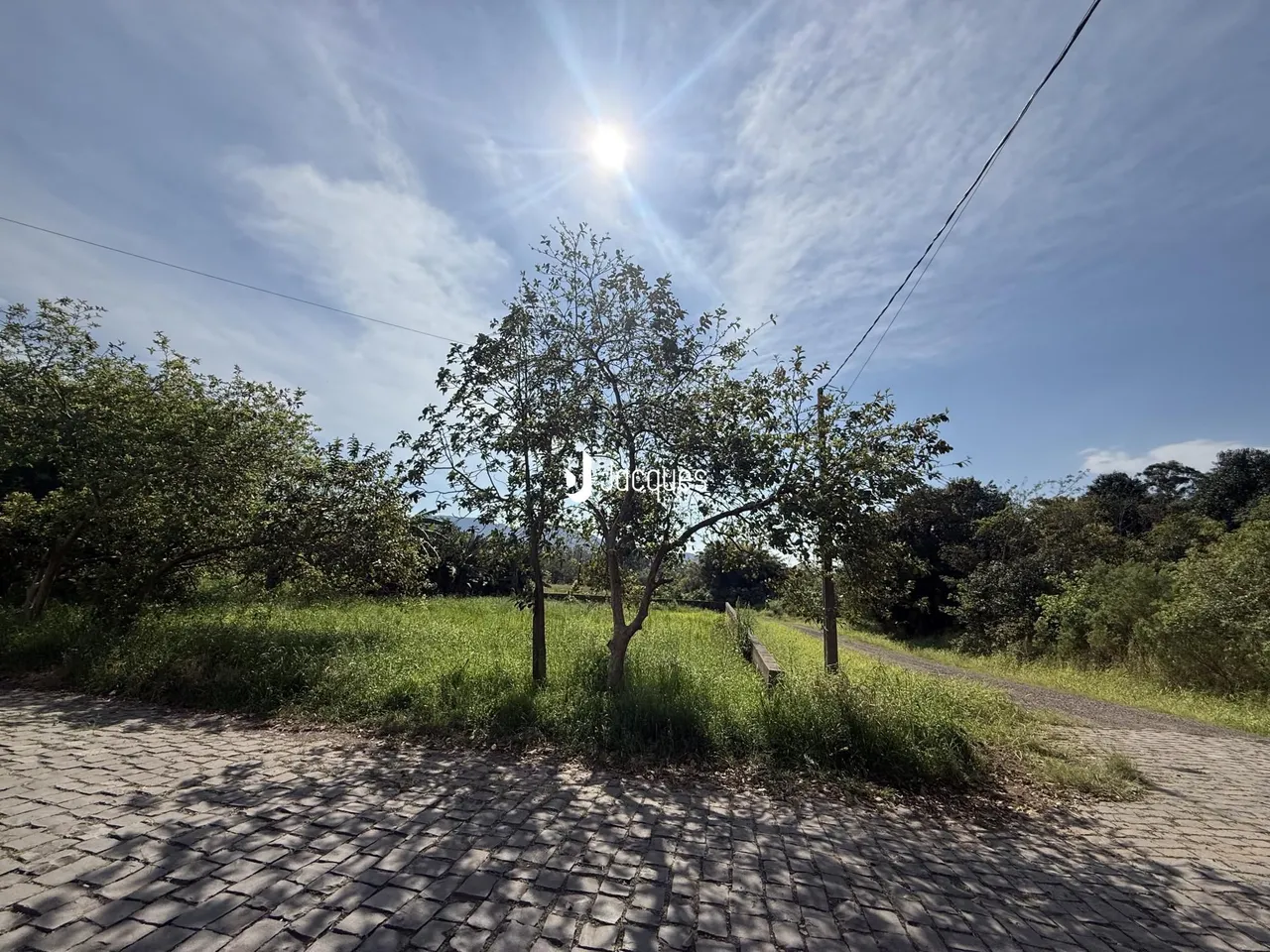 Vista de campo com árvores e estrada em Lajeado, Brasil.