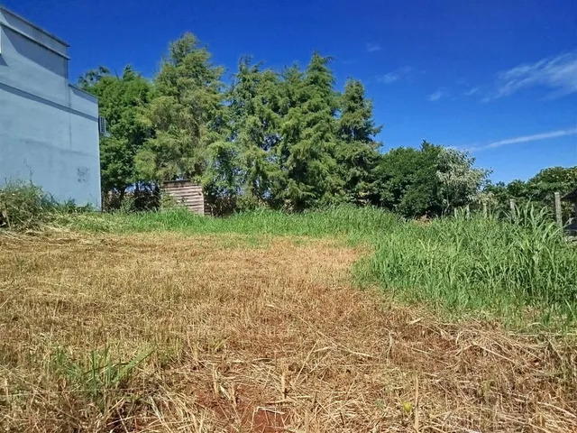 Terreno