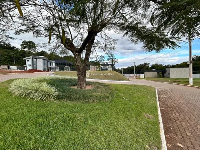 Paisagem externa com gramado e árvores.
