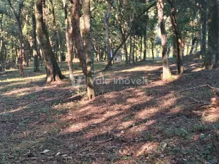 Área rural, foto 6