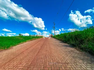 Vista de uma estrada de terra ladeada por vegetação verde.