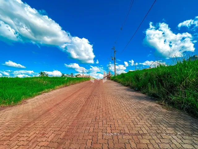 Vista de uma estrada de terra ladeada por vegetação verde.