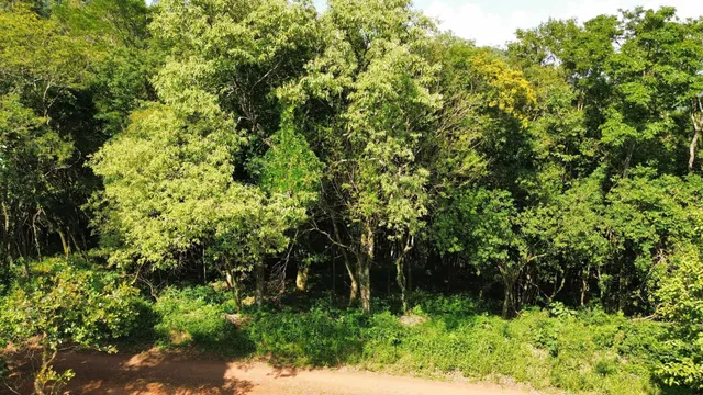 Imóvel, foto 3
