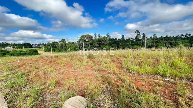 Terreno, foto 3