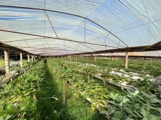Área rural, foto 9