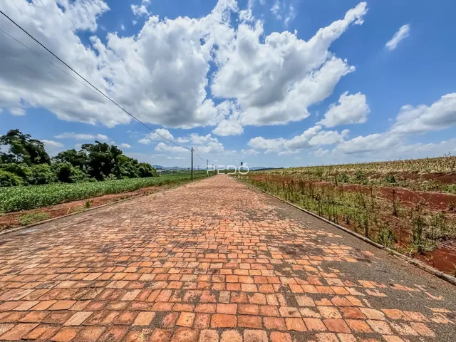 Vista de uma estrada pavimentada que se estende por campos agrícolas no interior do Brasil.