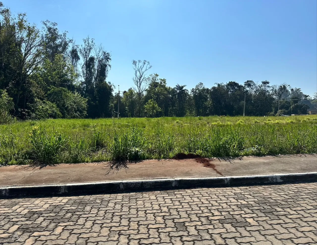 Terreno, foto 1