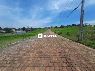 Vista de uma estrada de paralelepípedos em uma área verde sob um céu azul.
