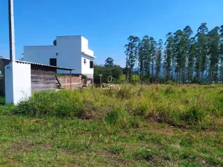 Terreno, foto 1