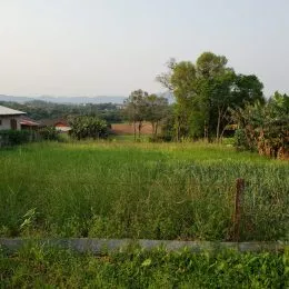 Área rural, foto 3