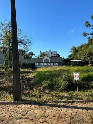 Terreno, foto 3