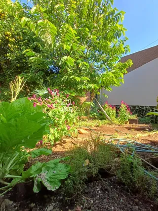 Casa com 3 dormitórios, foto 7