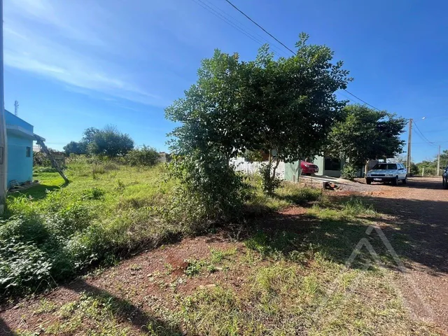 Terreno, foto 2