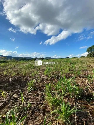 Paisagem de campo com vegetação verde sob um céu azul claro.