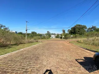 Terreno, foto 2