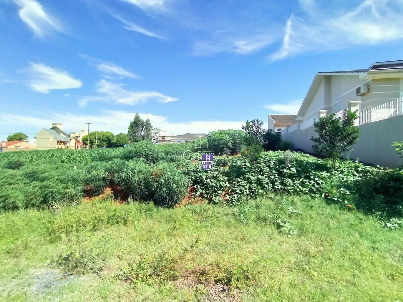 Terreno, foto 1