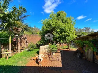 Vista externa do quintal com gramado, árvores e um muro de tijolos.