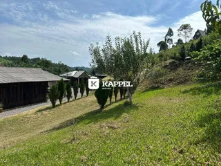 Vista de uma paisagem com grama verde e vegetação no campo.