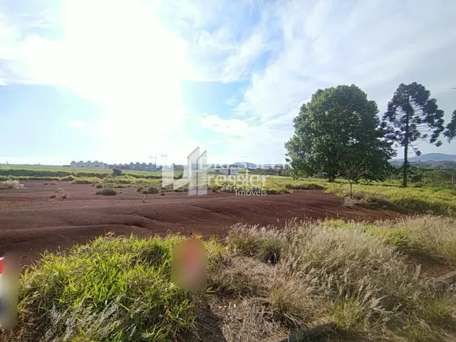 Paisagem de terra marrom e vegetação rasteira em uma área aberta.