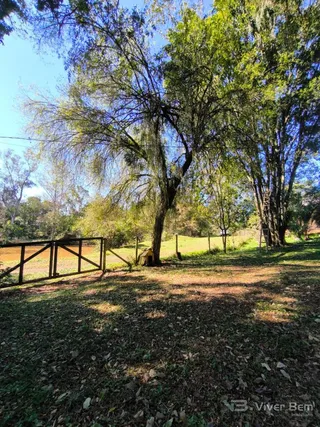 Área rural com 3 dormitórios, foto 1
