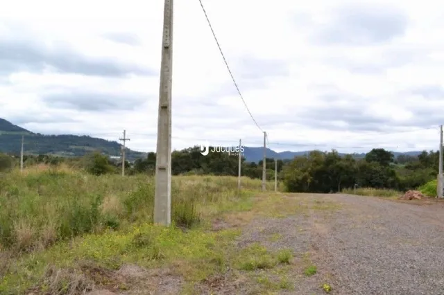 Terreno, foto 5