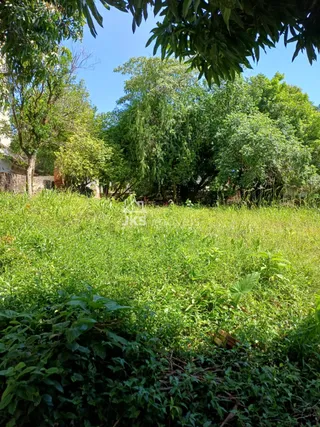 Terreno, foto 3