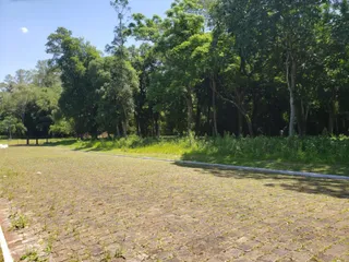 Vista de um terreno aberto com grama e árvores no fundo.
