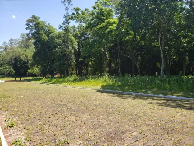 Vista de um terreno aberto com grama e árvores no fundo.