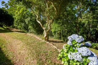 Área rural com 4 dormitórios, foto 38