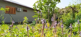 Área rural, foto 22