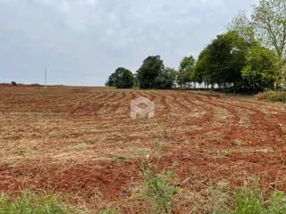 Terreno, foto 1