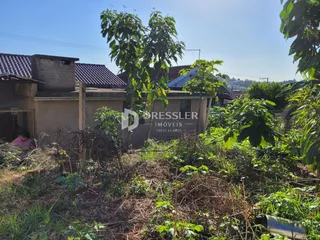Vista externa de uma residência com vegetação densa na frente.