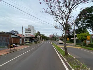 Vista da rua em Lajeado, Brasil, com árvores e edifícios ao fundo.