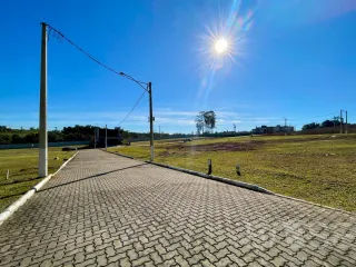 Terreno, foto 1