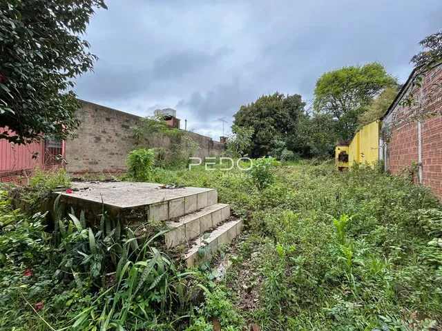 Parede de tijolos com vegetação densa e degraus de concreto no jardim.