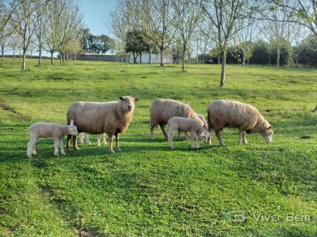 Área rural, foto 2