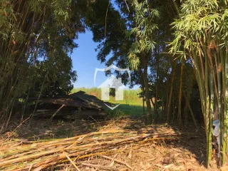 Área rural com 3 dormitórios, foto 13