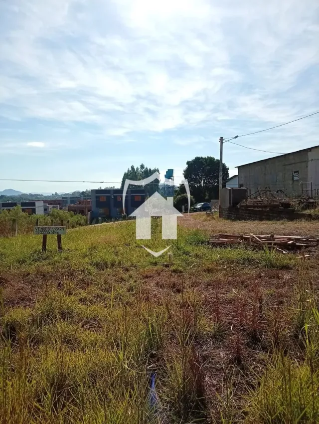 Terreno, foto 3