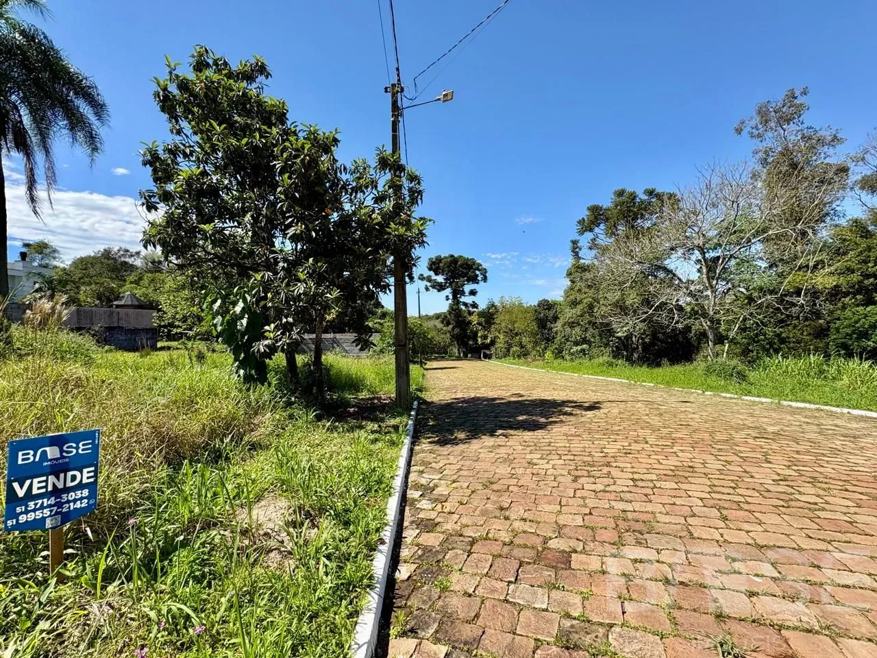Terreno, foto 1