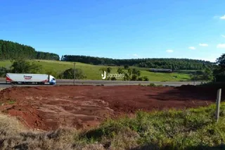 Terreno aberto com vegetação e linha de árvores ao fundo.